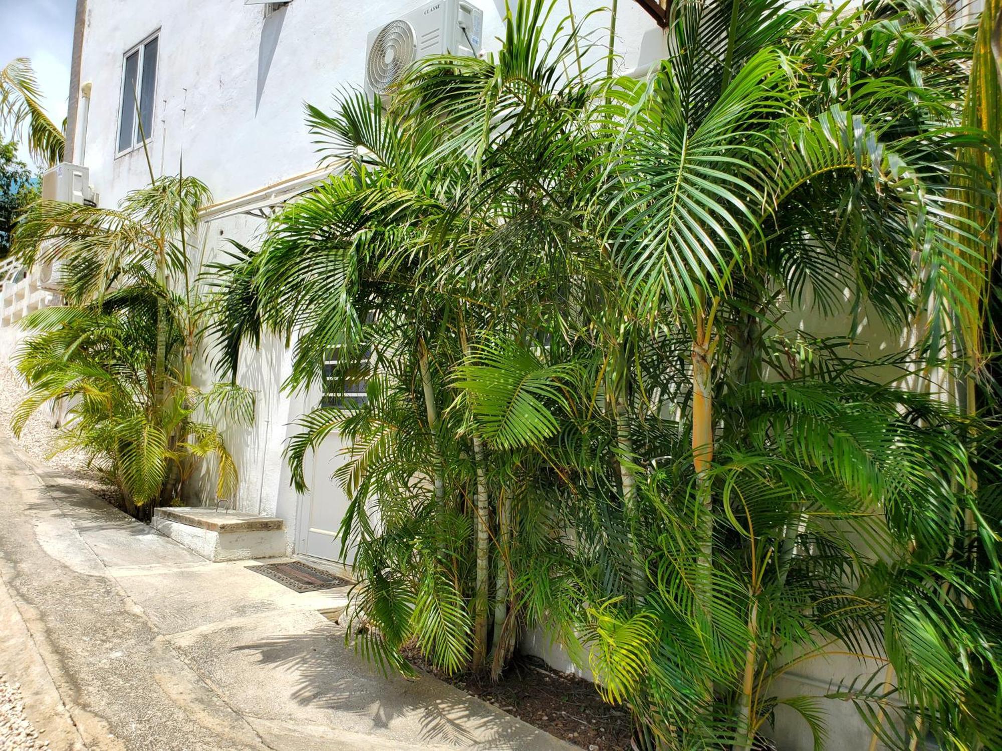 וילמסטאד Grand Sun Valley Residences מראה חיצוני תמונה