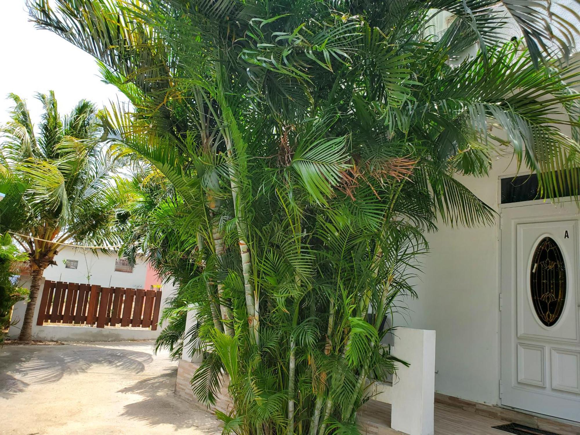 וילמסטאד Grand Sun Valley Residences מראה חיצוני תמונה